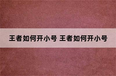 王者如何开小号 王者如何开小号